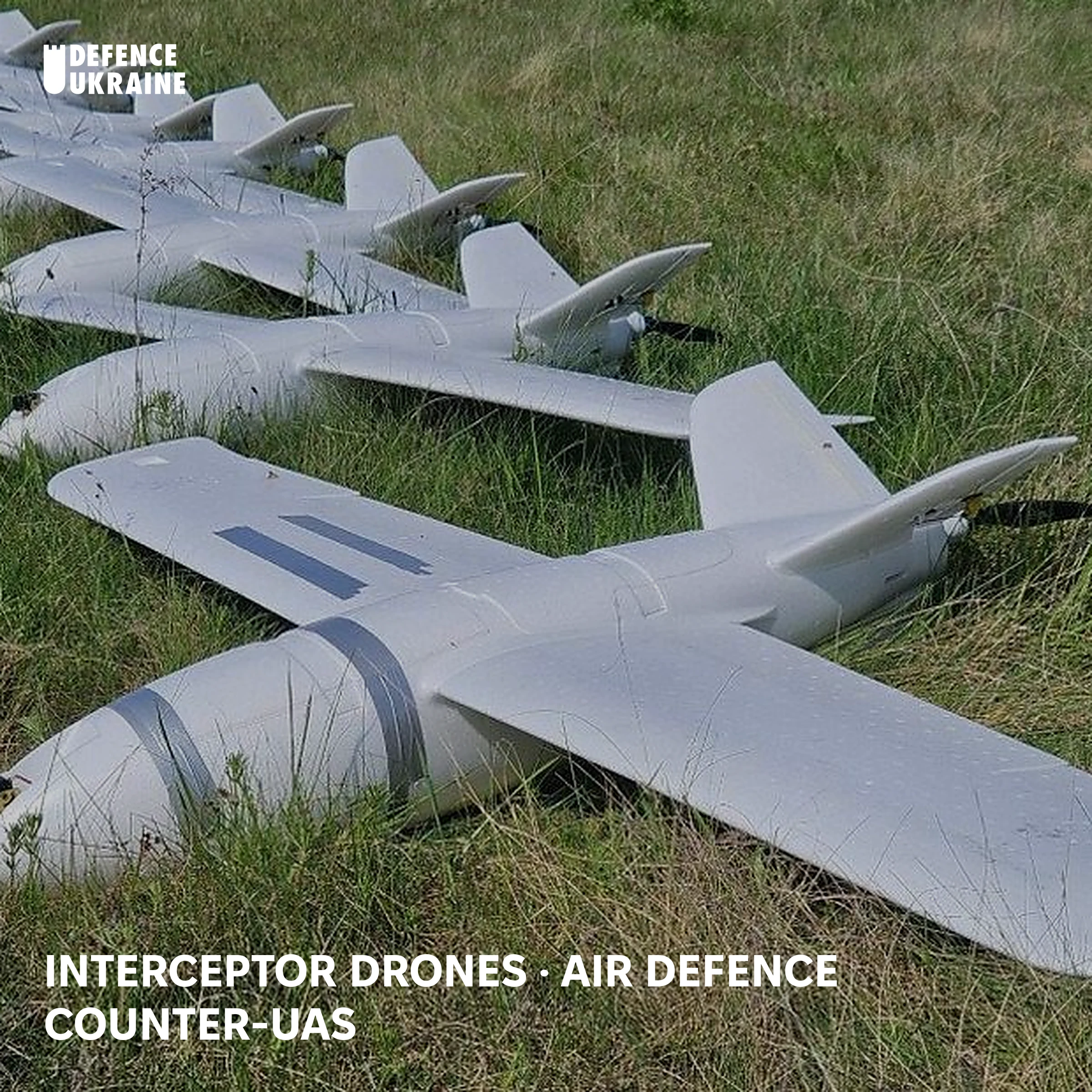 A row of fixed-wing interceptor drones made by Ukrainian manufacturer Vinnytski Bdzholy lined up on a grass field, awaiting deployment to counter incoming Russian Shahed loitering munitions.